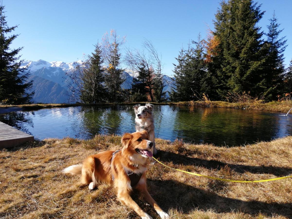 Apartment Hohe Tauern Bramberg am Wildkogel Dış mekan fotoğraf