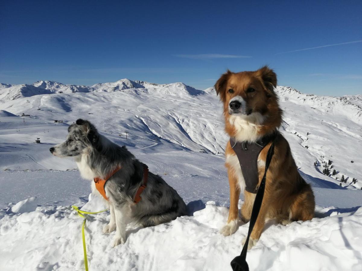 Apartment Hohe Tauern Bramberg am Wildkogel Dış mekan fotoğraf