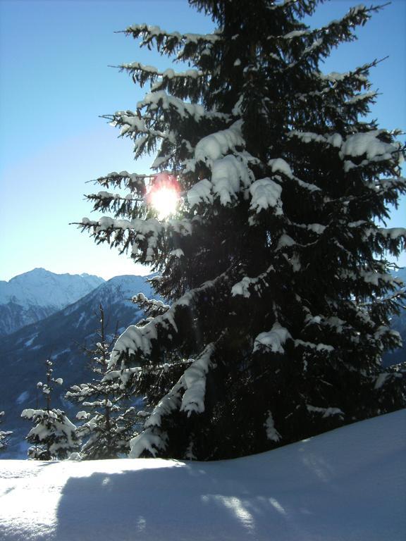 Apartment Hohe Tauern Bramberg am Wildkogel Dış mekan fotoğraf